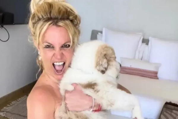 Britney Spears Dog The Tale of Unconditional Love 