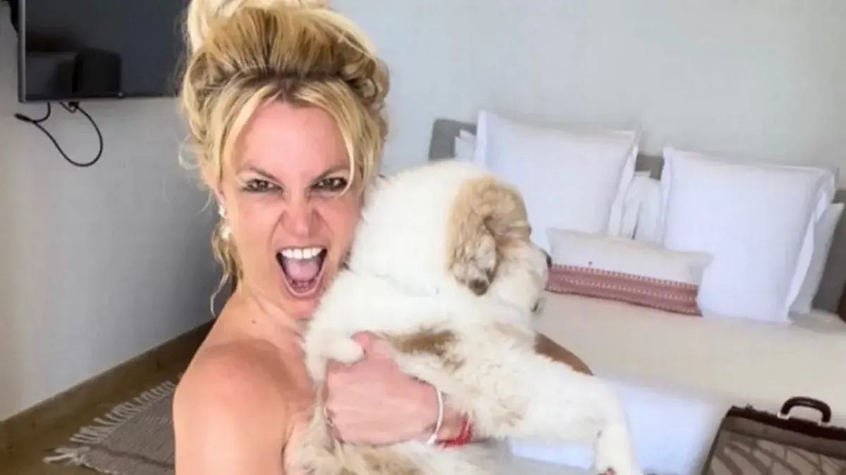 Britney Spears Dog The Tale of Unconditional Love 
